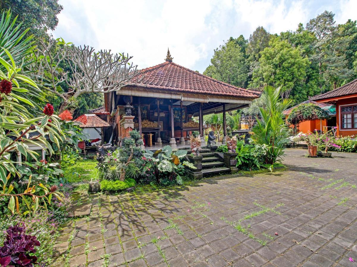 Oyo Homes 91091 Desa Wisata Umejero Munduk  Luaran gambar