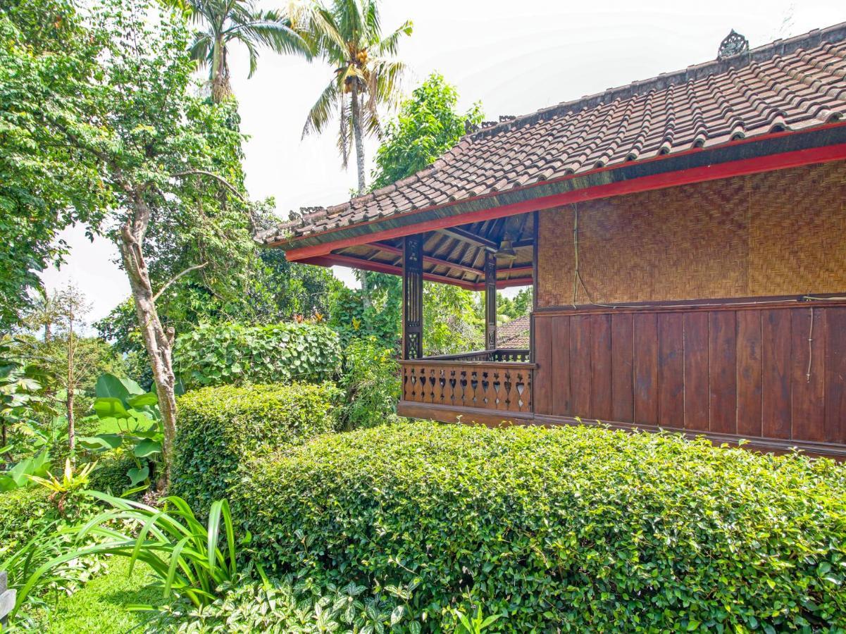 Oyo Homes 91091 Desa Wisata Umejero Munduk  Luaran gambar