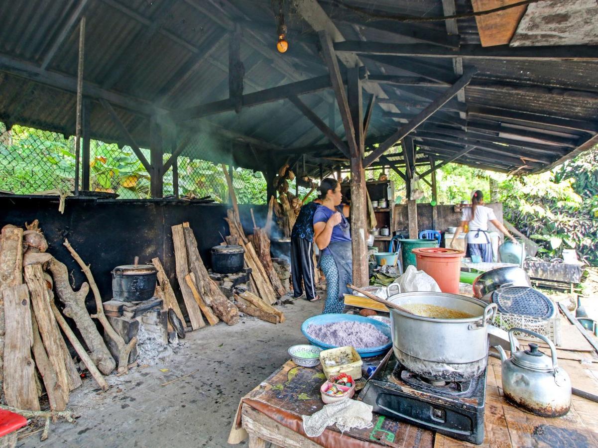 Oyo Homes 91091 Desa Wisata Umejero Munduk  Luaran gambar