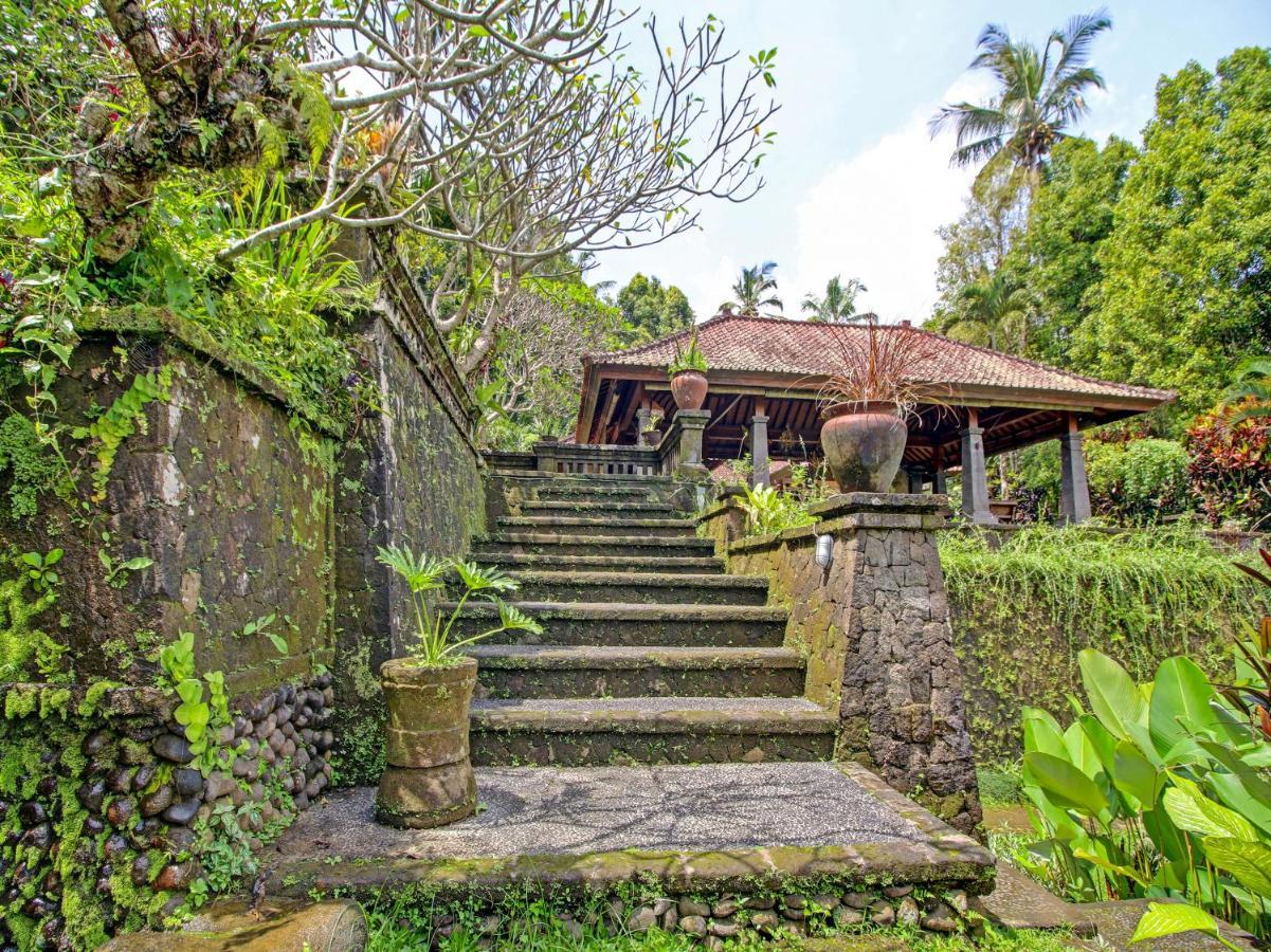 Oyo Homes 91091 Desa Wisata Umejero Munduk  Luaran gambar