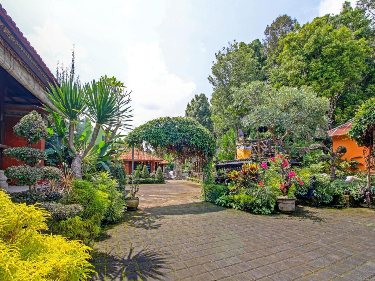 Oyo Homes 91091 Desa Wisata Umejero Munduk  Luaran gambar