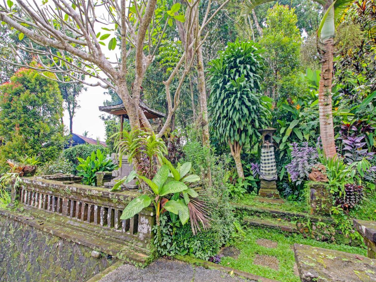 Oyo Homes 91091 Desa Wisata Umejero Munduk  Luaran gambar