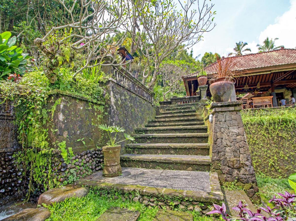 Oyo Homes 91091 Desa Wisata Umejero Munduk  Luaran gambar