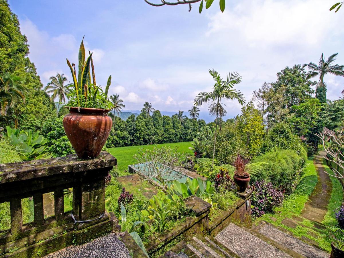 Oyo Homes 91091 Desa Wisata Umejero Munduk  Luaran gambar