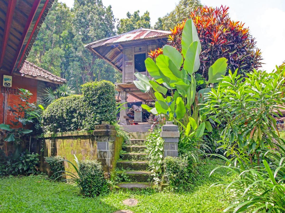 Oyo Homes 91091 Desa Wisata Umejero Munduk  Luaran gambar