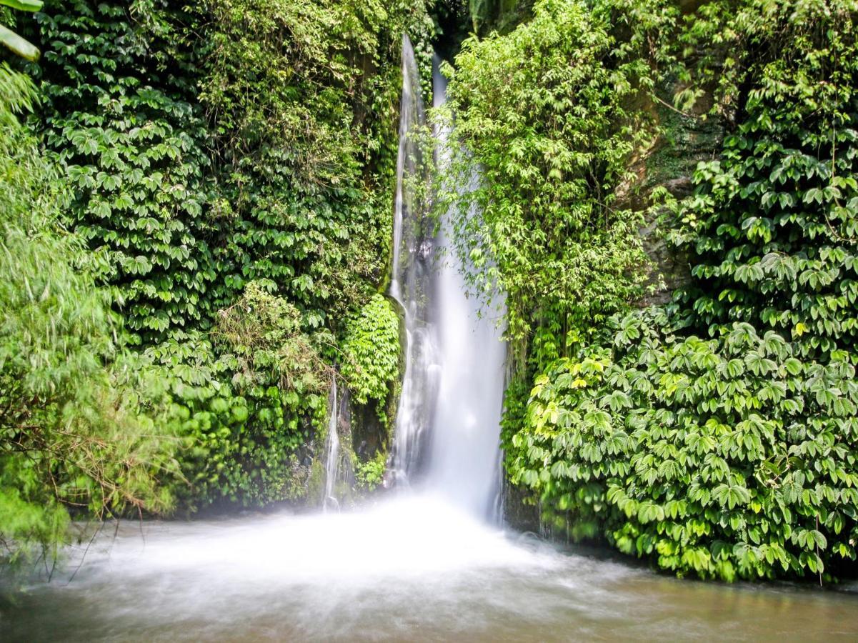 Oyo Homes 91091 Desa Wisata Umejero Munduk  Luaran gambar